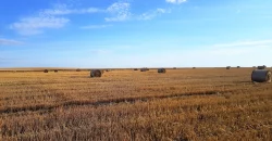 Karakule – duża działka pod budowę osiedla domów