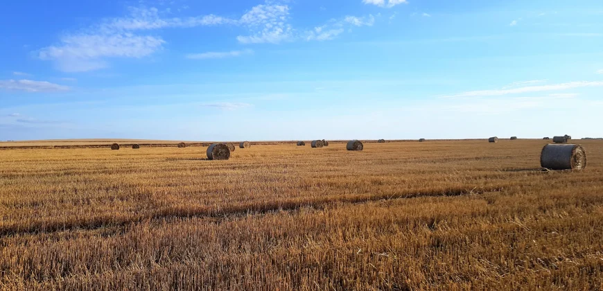 Karakule – duża działka pod budowę osiedla domów