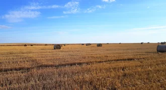 Karakule – duża działka pod budowę osiedla domów