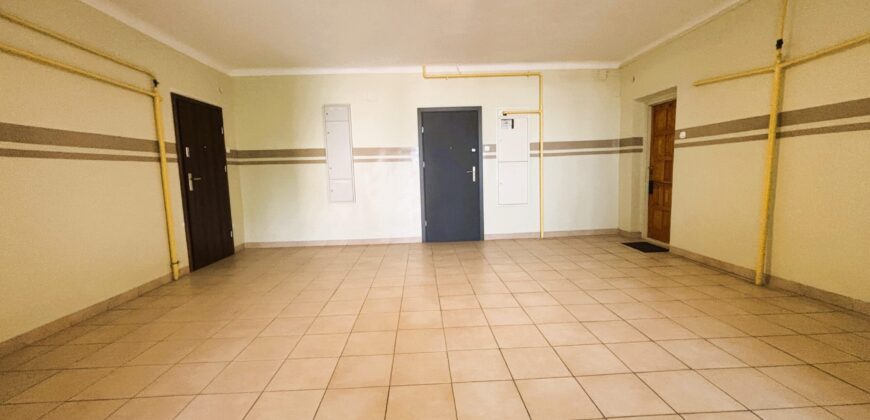 Ścisłe Centrum ul. Piotrkowska 55m dwa pokoje cicho! natychmiast!